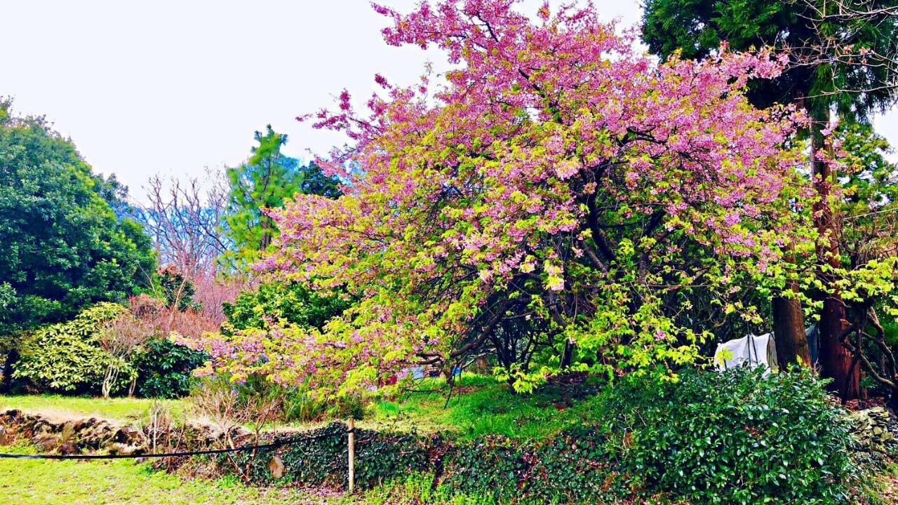 Forest Villa Olive Futo Buitenkant foto